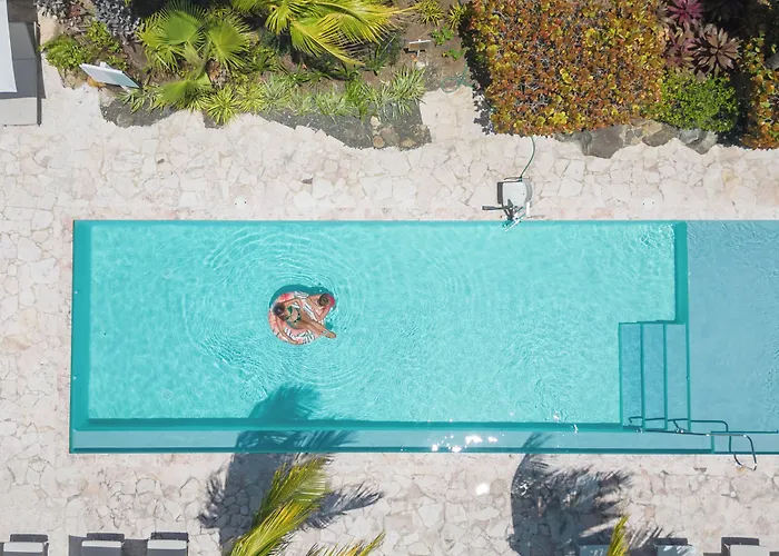 Dolphin Suites & Wellness Curacao